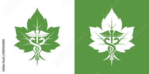 vector marijuana leaf logo, marijuana and healing logo. marijuana and medical logo design vector illustration