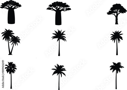 Baobab and palm tree silhouettes set, tropical and savanna nature collection, black botanical shapes, isolated vector illustration