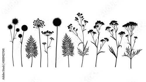 A collection of delicate wildflowers and grasses depicted in a minimalist black sketch style