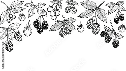 Detailed botanical illustration featuring various berries and lush green leaves in monochrome