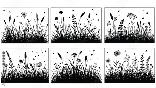 Six black and white botanical prints depicting various wildflowers and grasses in silhouette