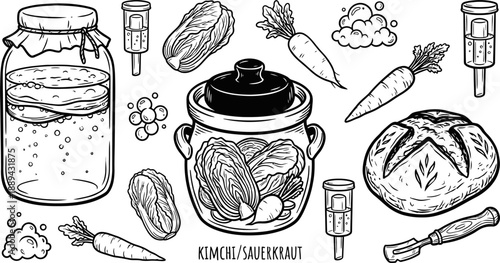 Fermented food set for kimchi and sourdough vector illustration