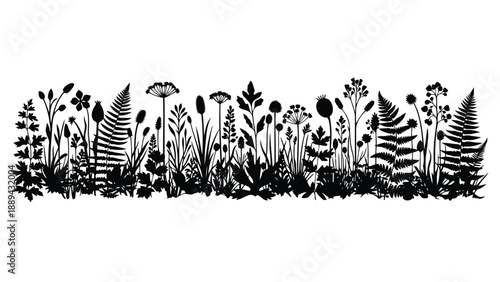 A dense black silhouette of various wildflowers ferns and foliage creates a natural border