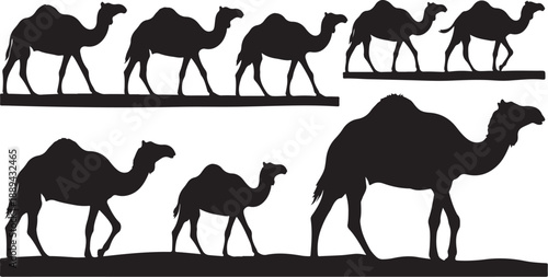 Silhouette of camels walking in desert landscape formation together