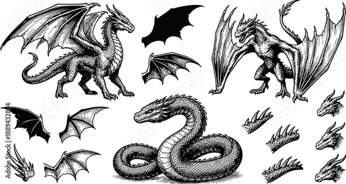 Mythological dragon and serpent creature collection vector illustration