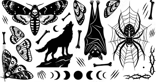 Spooky occult elements and animal silhouettes vector illustration
