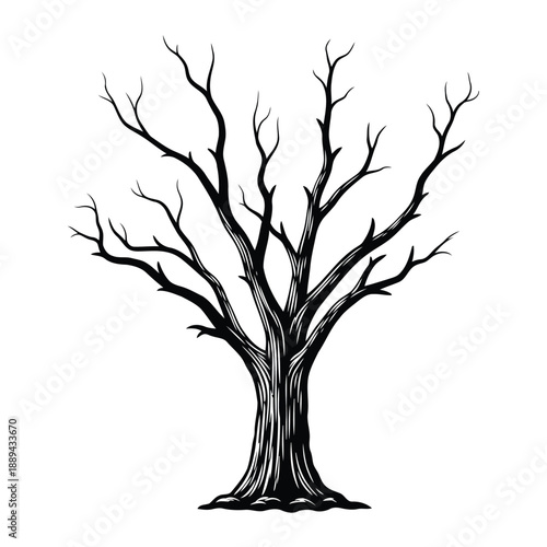 A stark black and white illustration of a bare tree with intricate branching patterns