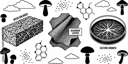 Sustainable mycelium brick and mushroom leather vector illustration
