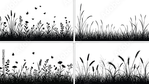 Black and white botanical illustration depicting grasses wildflowers and flying insects in a field