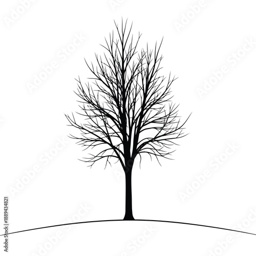 A solitary bare tree stands prominently on a gentle rolling hill against a white background
