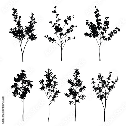 Silhouettes of various small trees and leafy branches against a plain white background