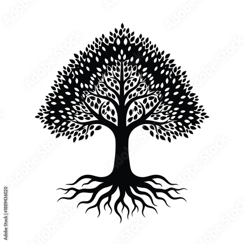 A detailed black silhouette of a full leafy tree with prominent roots is shown