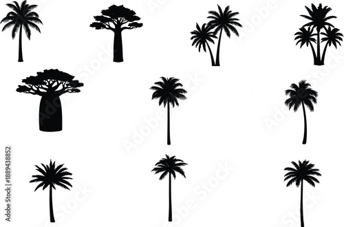 Tropical palm and baobab tree silhouettes set, exotic nature shapes collection, black botanical elements, isolated vector illustration