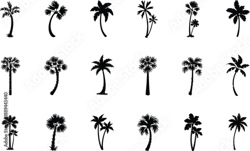 Palm tree silhouettes, tropical icons, botanical illustration, exotic plants, black shapes, nature design, summer vibe, beach theme, jungle foliage, minimal art