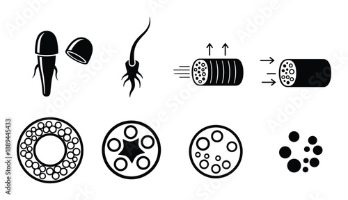 Illustrations depict cellular structures, stages of growth, and various biological and physiological functions.