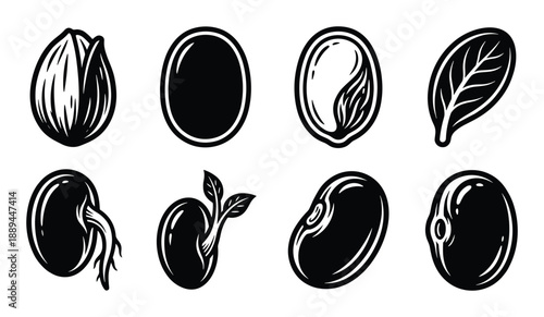 Seed germination stages illustration. Plant growth process from seed to leaf. Sprout with root, seedling, and leaf drawing.