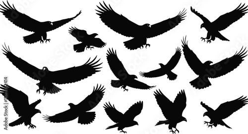 Eagle silhouette set featuring flying hawks, majestic soaring falcons, predatory birds in flight, wildlife vector icons, raptor wingspan nature graphics collection.