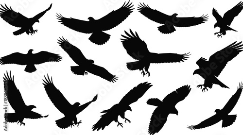 Eagle silhouette set with soaring hawks, flying falcon collection, predator birds in flight, majestic wingspan, wildlife vector icons, raptor nature graphics.