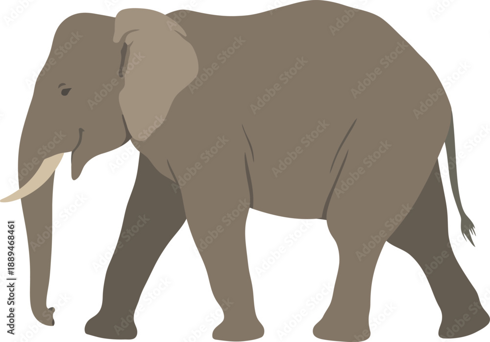 Obraz premium African Elephant Walking Side View Vector Illustration