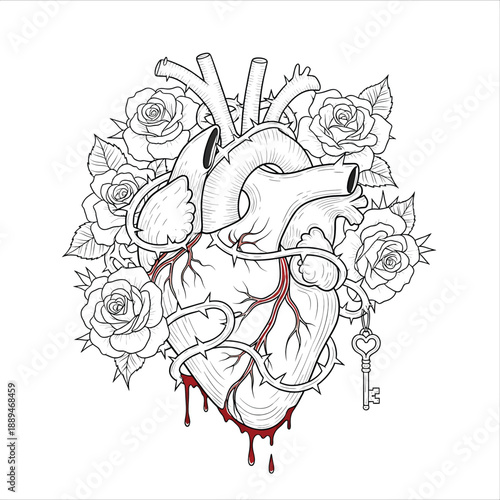 Anatomical Heart with Roses and Key Illustration.