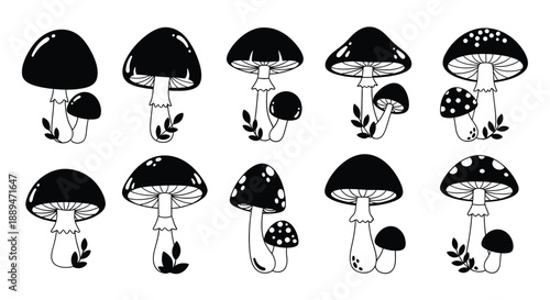Black and White Mushroom Illustrations Collection.