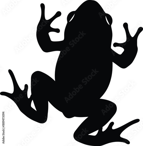 Black Silhouette of a Frog Jumping.