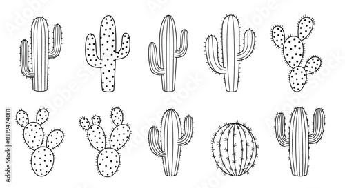 Cactus Illustrations in Various Shapes and Sizes.
