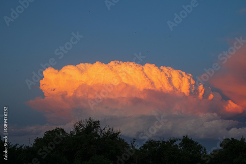 glowing orange cloud during sunset, large cloud with trees and birds