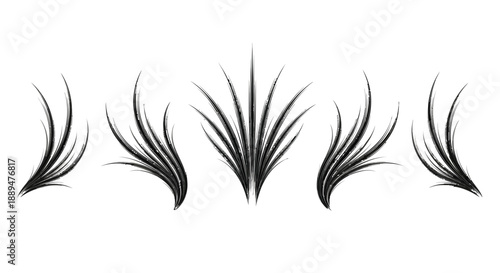 A striking black and white illustration showcasing multiple abstract blade like foliage designs arranged horizontally