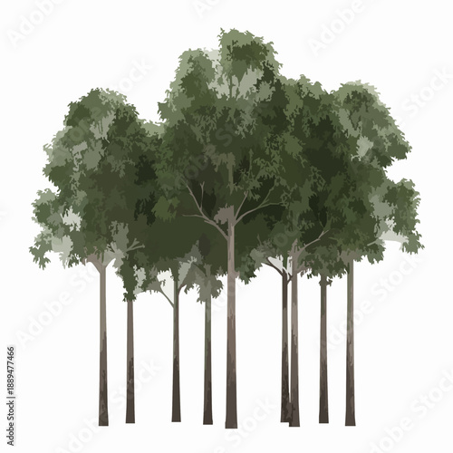 Red Gum Trees Isolated on White Background 3D Render for Architectural Visualization