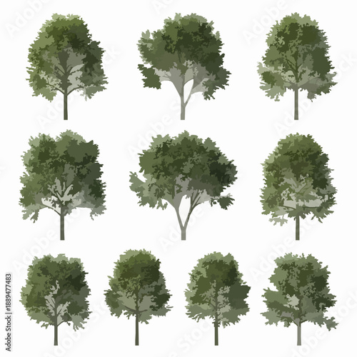 Realistic Red Gum Tree 3D Illustration Set Isolated on White for Architecture