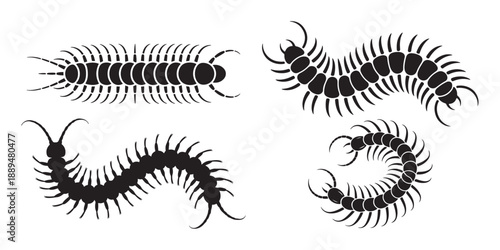 Centipede Silhouettes Collection, Various Poses, Isolated on White Background.