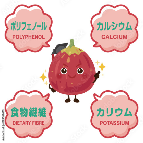 イチジクのキャラクターとイチジクに含まれる成分イラスト／Cute Fig Character Illustration with Nutrients
