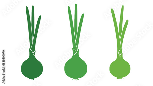 Three green onions with long stems on a white background illustration