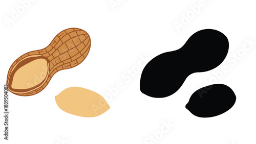 An illustration of peanuts in shell and without shell in brown and black colors