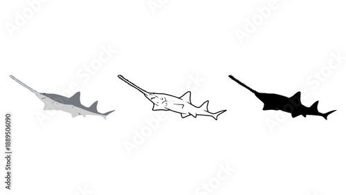 Three different colored thornback rays swimming in a row on a white background