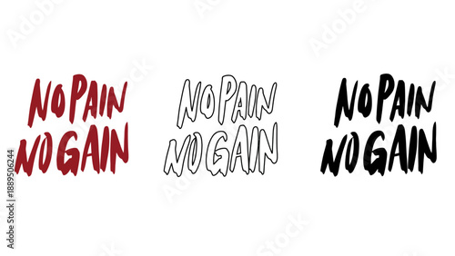 A motivational poster with the phrase No Pain No Gain in different colors and fonts