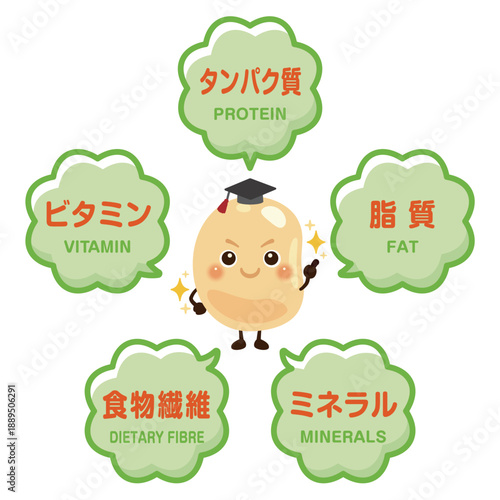 大豆のキャラクターと大豆に含まれる成分イラスト／Cute Soybean Character Illustration with Nutrients