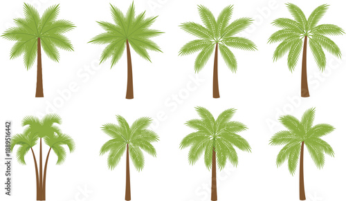 Set of various tropical palm tree icons with green fronds and brown trunks vector illustration isolated on grey background