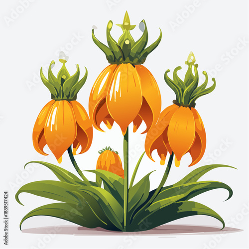 Orange imperial fritillary flowers with green leaves