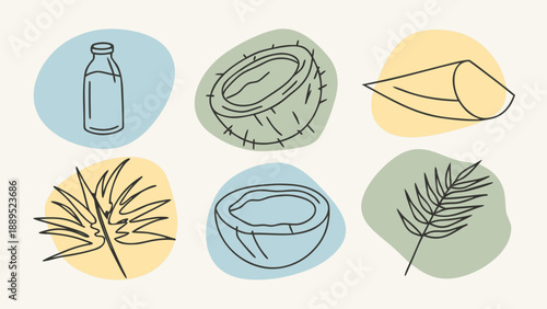 Minimalist Line Art Coconut and Palm Leaf Illustration with Pastel Shapes