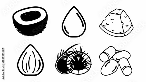 Black and White Coconut and Tropical Nut Stencil Illustration Set