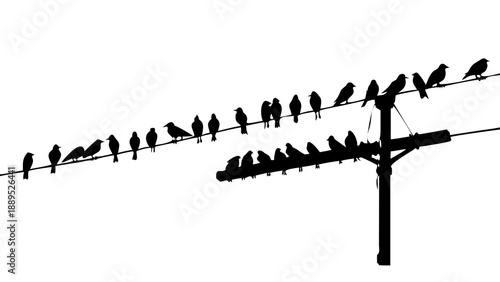 Birds on Power Lines Silhouette Vector – Group of Crows on Wire Electric Pole Icon