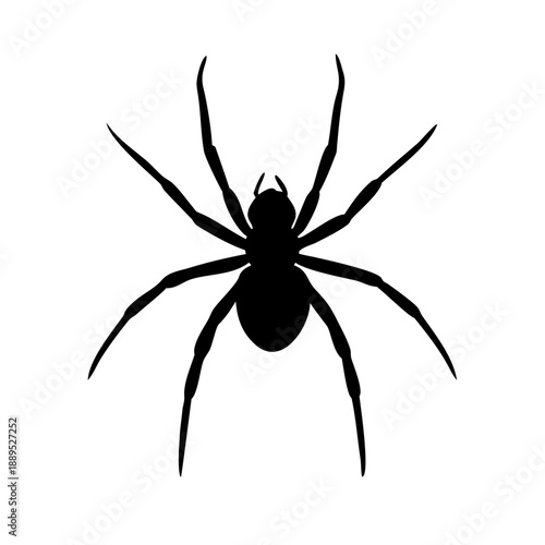 Black Spider Silhouette Vector – Creepy Crawly Insect Icon for Halloween and Nature Design