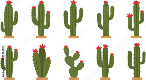 Set of blooming saguaro and prickly pear cactus icons with red flowers isolated on grey background for desert landscape design