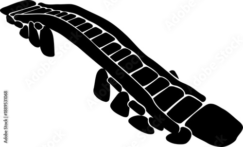 Curved garden footbridge silhouette with stepping stone path