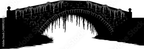 Ancient arched masonry bridge silhouette with long hanging foliage