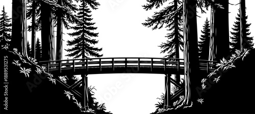 Wooden footbridge in pine forest woodland silhouette
