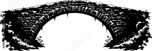 Ancient overgrown stone arch bridge with hanging vegetation