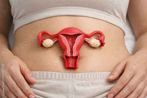 Wallpaper Mural Uterine model female abdomen reproductive organ gynecology myoma uterine fibroids endometrial polyp health care medical education fertility Torontodigital.ca